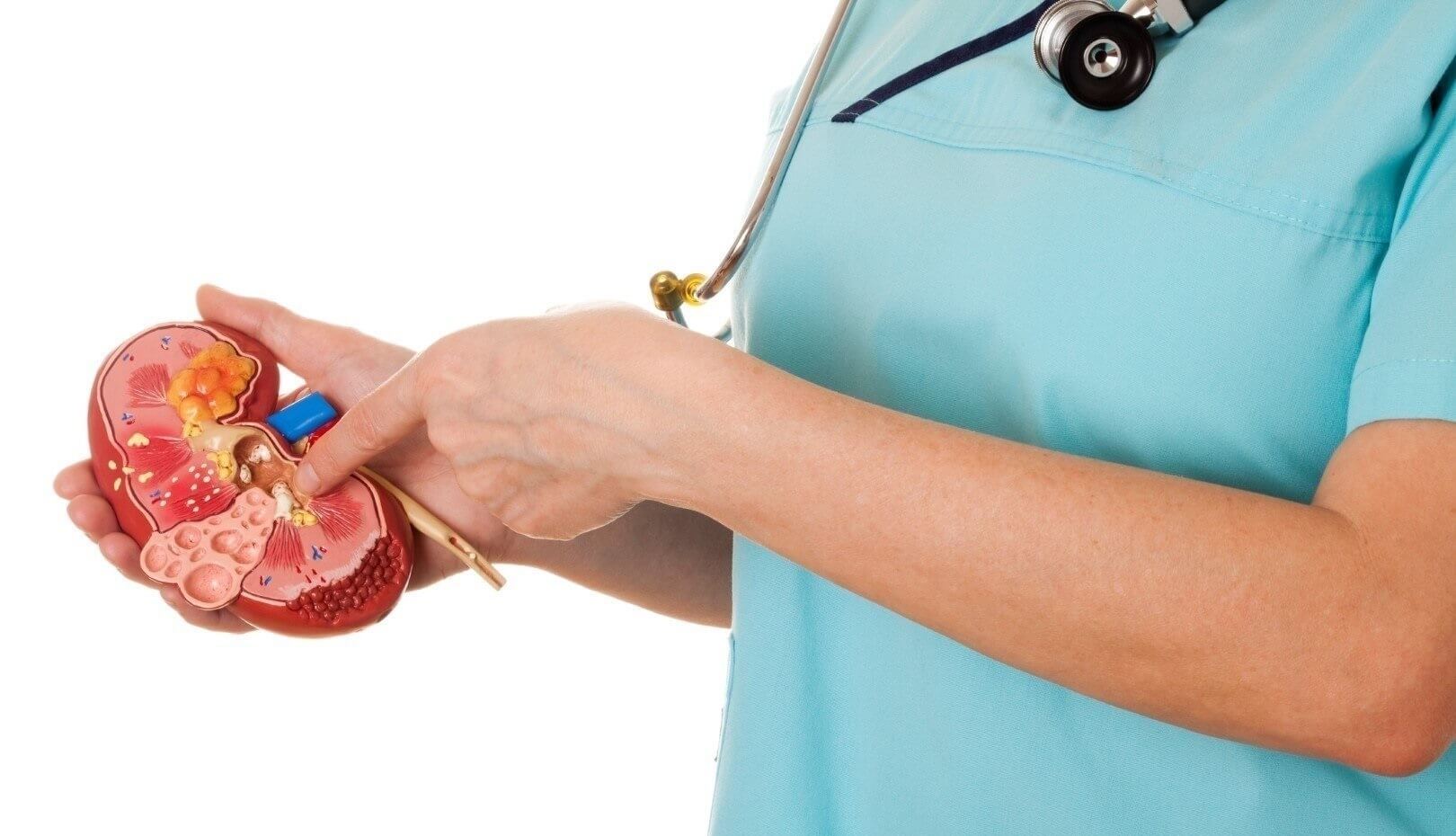 Nefrólogo cerca de Crespa Floresta Estado de México