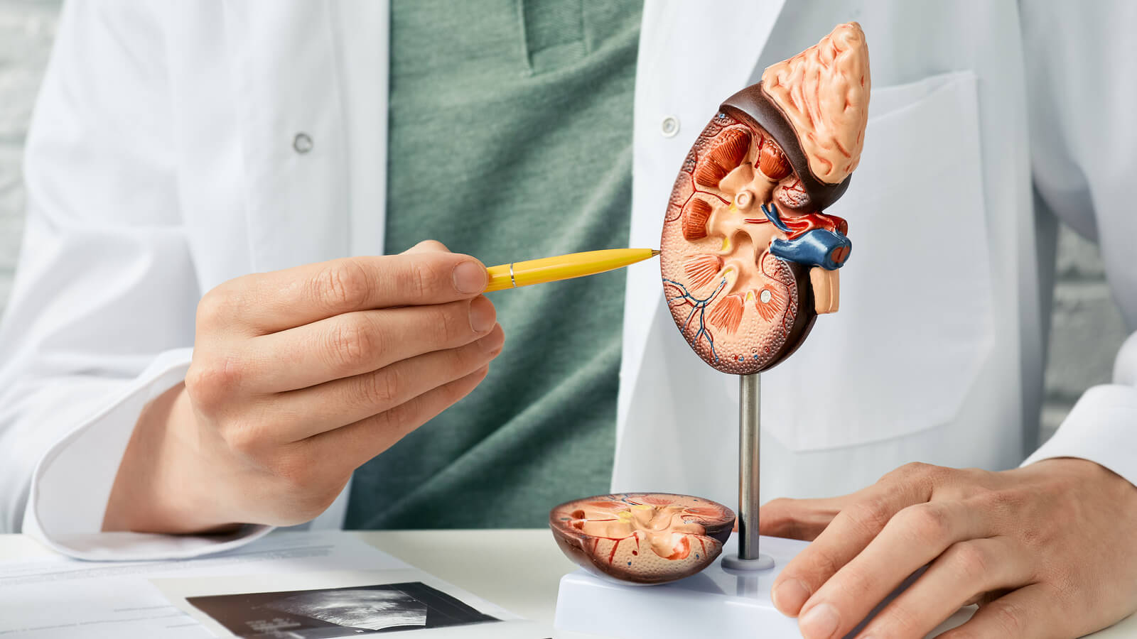 Médico especialista en riñones