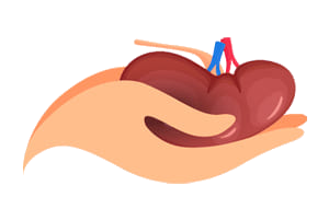 logo geriatra