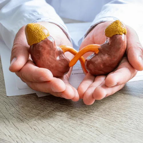 ¿Qué especialista trata la proteinuria?